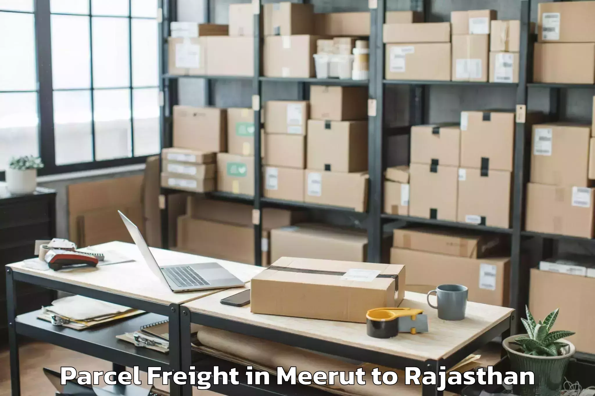 Easy Meerut to Asind Parcel Freight Booking